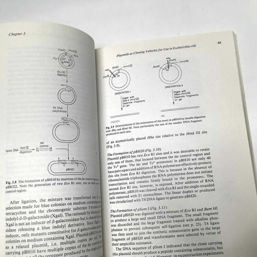 Principles of‎ Gene Manipulation An introduction to Genetic Engineering Primrose